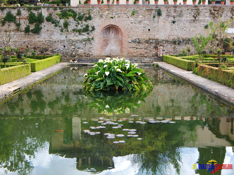 Jardines del Partal en La Alhambra